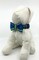 Bow Tie Dog Collar Blue And Lime Green Plaid Pet Collar Adjustable Sizes XS, S, M, L, XL product 1